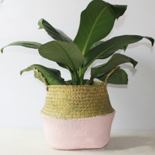 Panier en osier pour le jardin rose