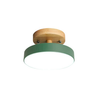 Plafonnier en bois moderne vert