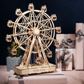 Puzzle 3D en bois roue geante