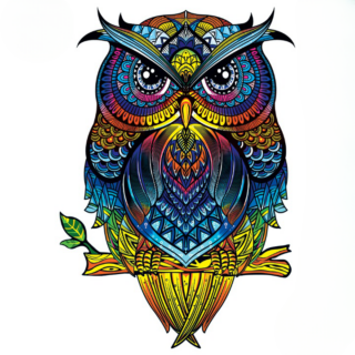 Puzzle en bois adulte hibou coloré